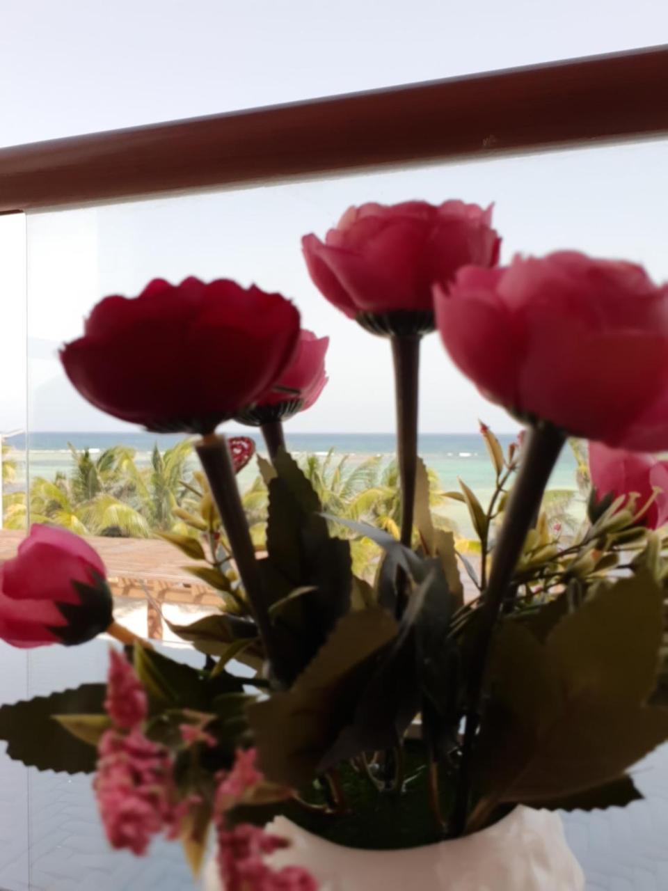 Aquastar By Rt Vacation Rentals Mahahual Kültér fotó